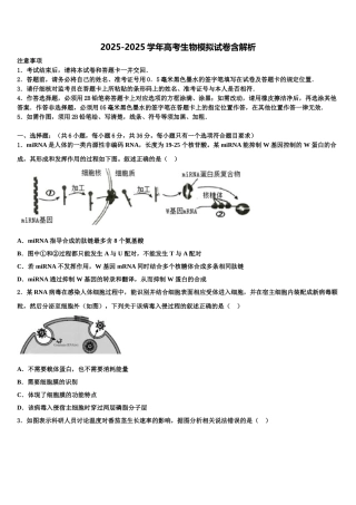 中卫市重点中学高考临考冲刺生物试卷含解析