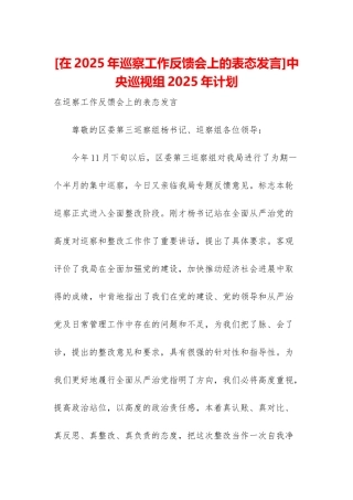 中央巡视组2025年计划