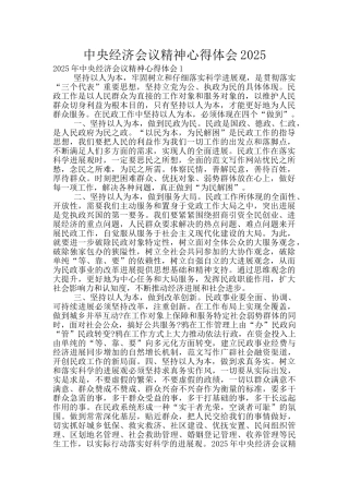 中央经济会议精神心得体会2025