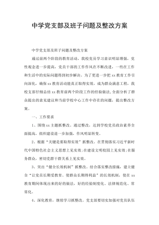 中学党支部及班子问题及整改方案