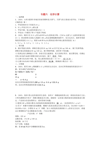 中考化学-第2篇-专题六-化学计算试题1