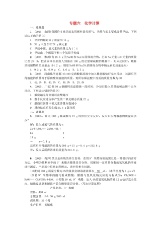 中考化学-第2篇-专题聚焦-专题六-化学计算试题