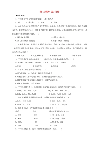 中考化学一轮复习-时-盐-化肥对点精练