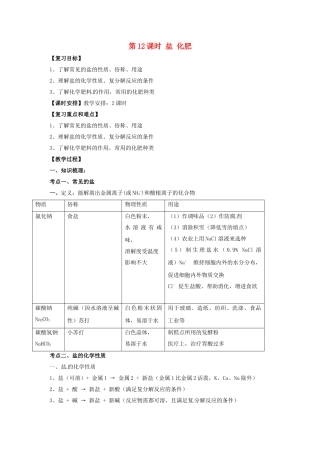 中考化学一轮复习-时-盐-化肥教案
