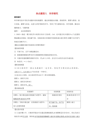中考化学专题复习-热点题型八-科学探究1