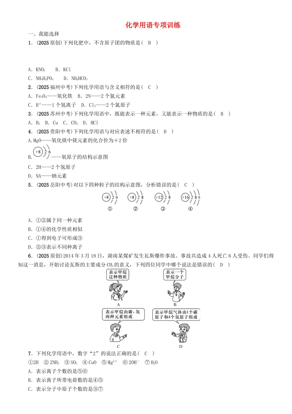 中考化学命题研究-化学用语专项训练2_第1页