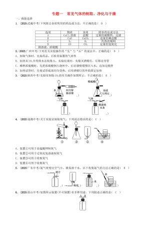 中考化学命题研究-第二编-重点题型突破篇-专题一-常见气体的制取净化与干燥精练试题