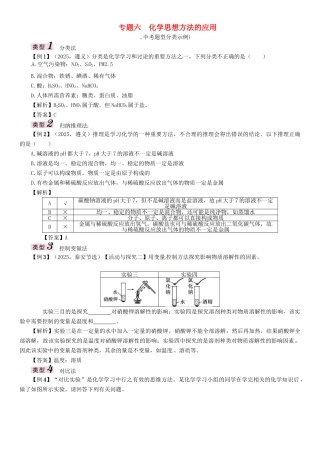 中考化学命题研究-第二编-重点题型突破篇-专题六-化学思想方法的应用精讲试题
