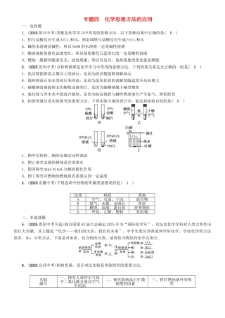 中考化学命题研究-第二编-重点题型突破篇-专题四-化学思想方法的应用精练试题