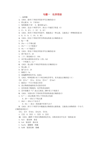 中考化学总复习-专题训练-专题一-化学用语试题