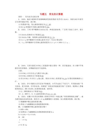 中考化学总复习-专题训练-专题五-常见的计算题试题