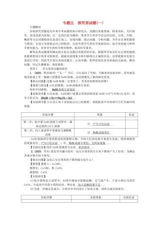 中考化学总复习-第2篇-专题聚焦-专题五-探究型试题一1