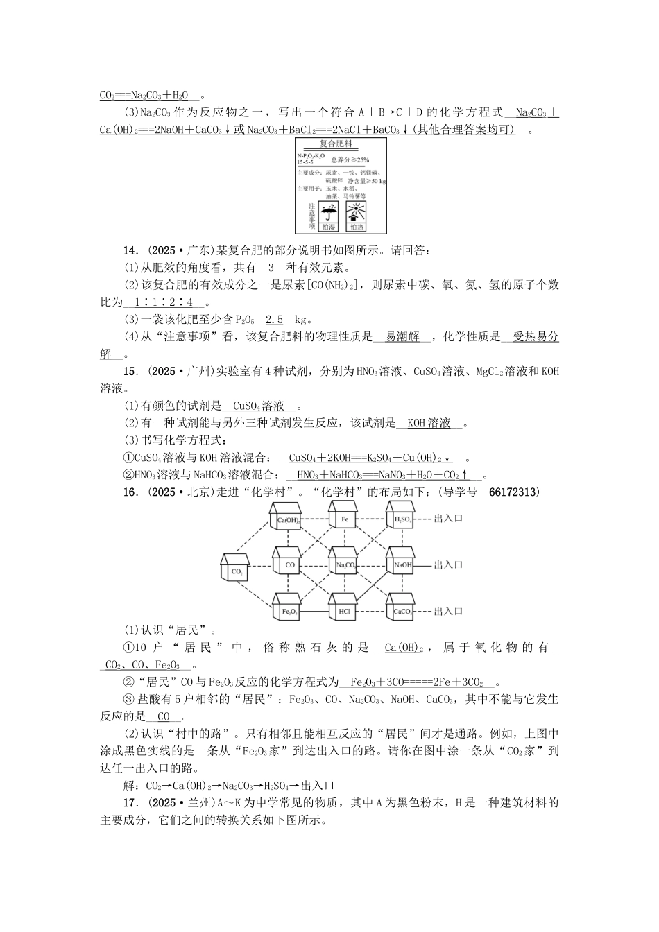 中考化学总复习-第一篇--盐-化肥试题1_第3页