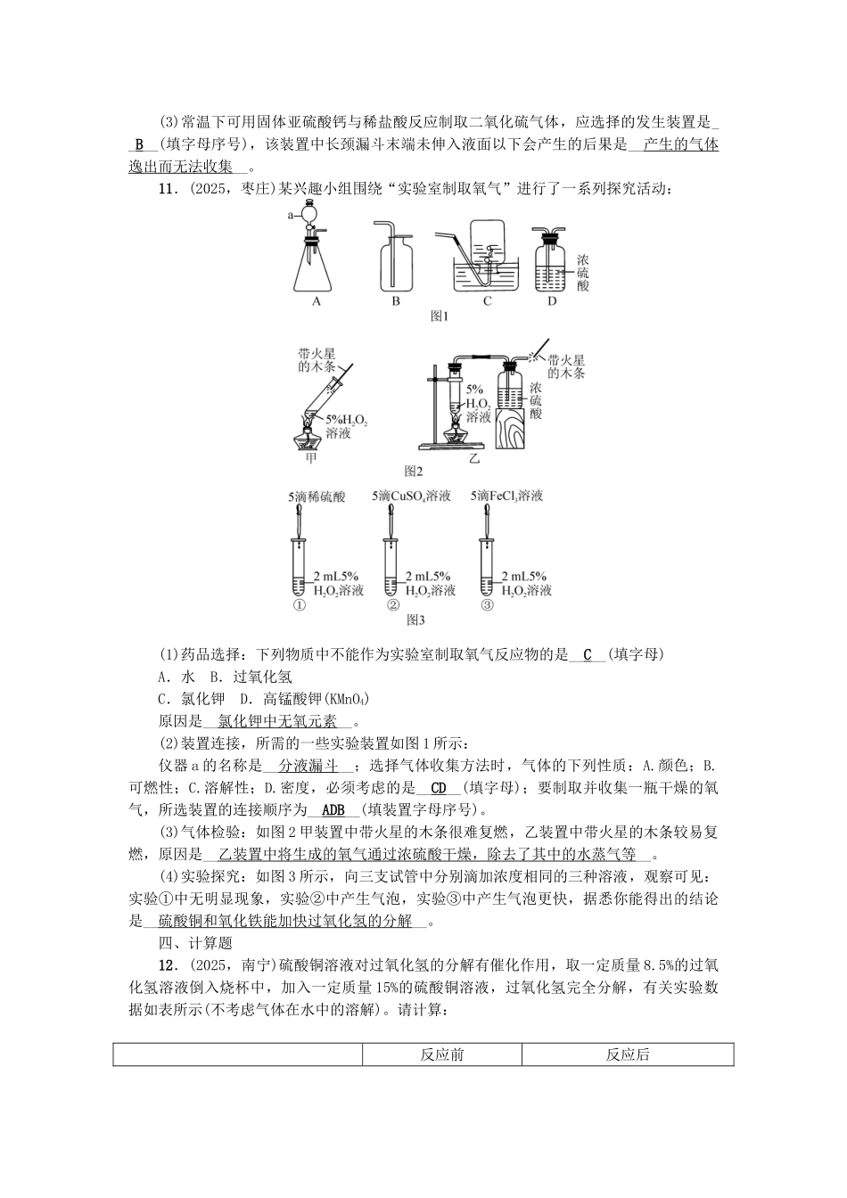 中考化学总复习-第一篇-考点聚焦--氧气检测1_第3页