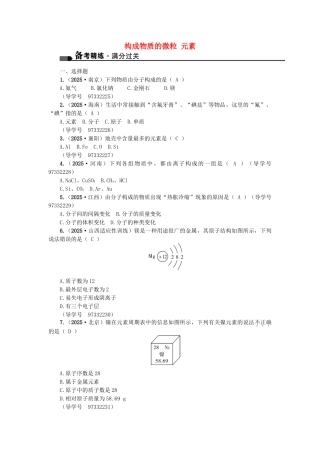 中考化学总复习-第一篇-考点聚焦--构成物质的微粒-元素试题