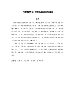 大数据时代下爱奇艺营销策略研究分析  市场营销专业