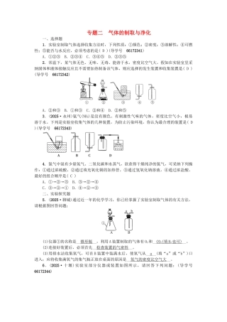 中考化学总复习-第二篇-专题二-气体的制取与净化试题1