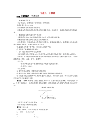 中考化学总复习-第二篇-专题聚焦-专题九-计算题试题
