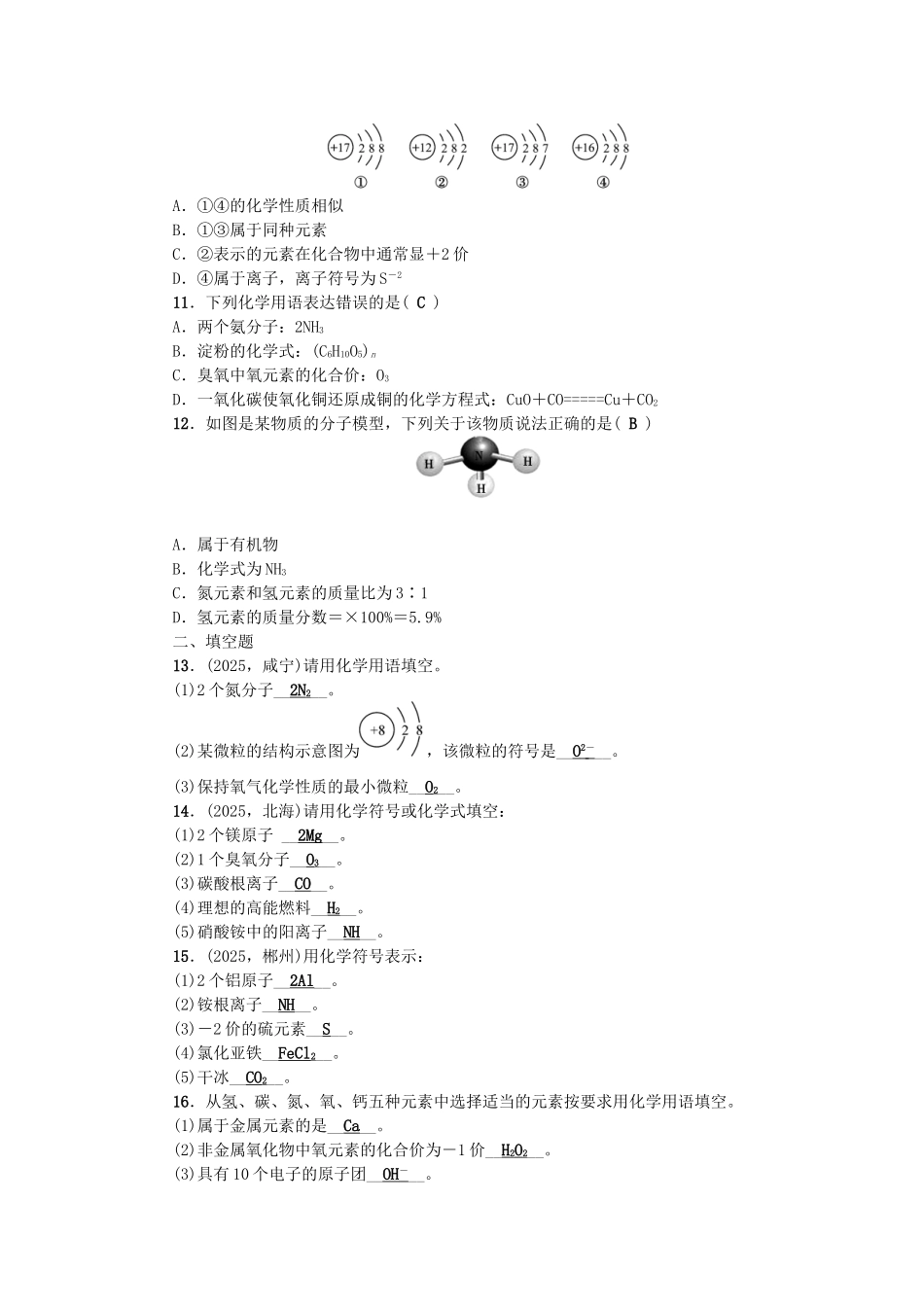 中考化学总复习-第二篇-专题聚焦-专题一-化学用语检测1_第2页