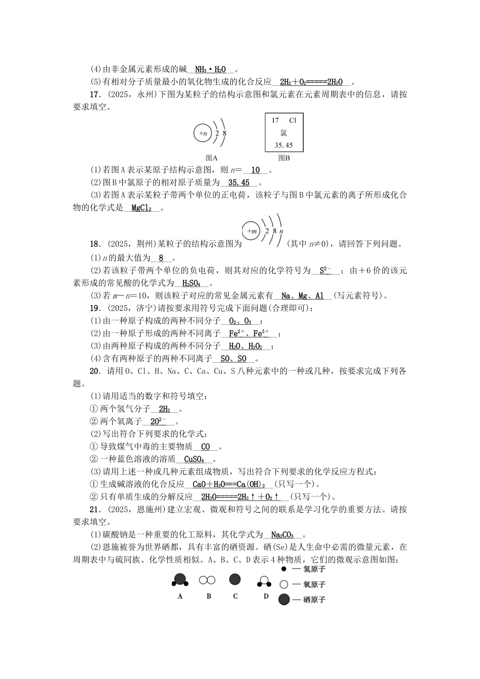 中考化学总复习-第二篇-专题聚焦-专题一-化学用语检测1_第3页