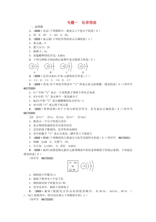 中考化学总复习-第二篇-专题一-化学用语试题1