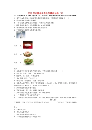 中考化学模拟试卷(含解析)