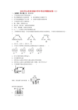 中考化学模拟试卷(1)(含解析)4