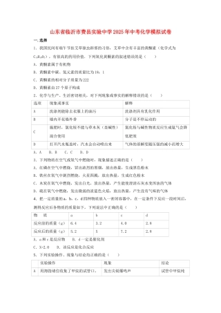 中考化学模拟试卷12