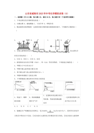 中考化学模拟试卷1