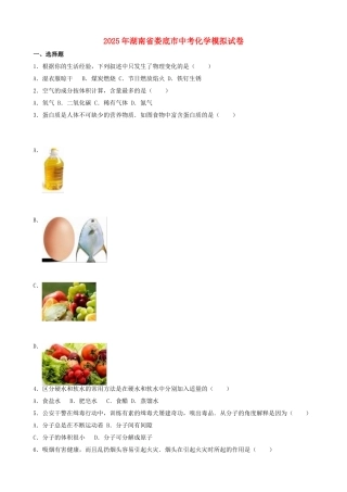 中考化学模拟试卷38