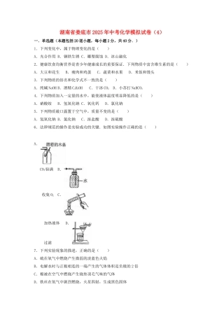 中考化学模拟试卷4