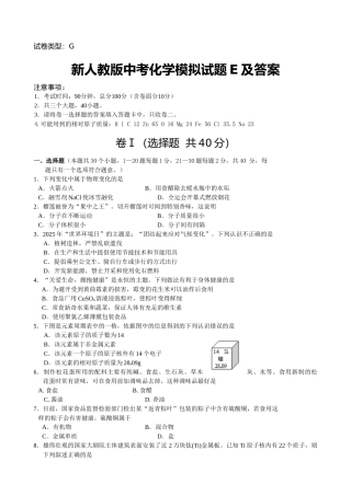 中考化学模拟试题E及答案