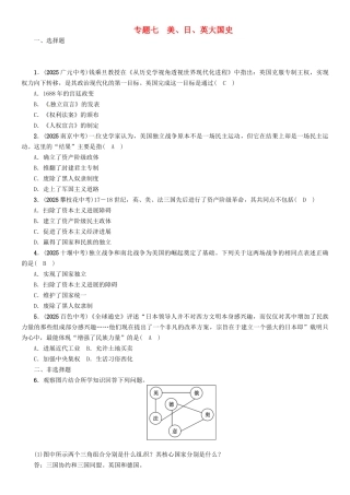 中考历史总复习-第二编-热点专题速查篇-专题七-美日英大国史练习