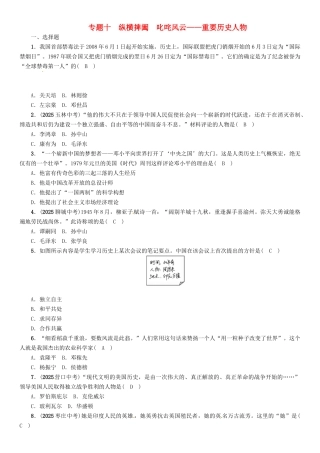 中考历史总复习-第二编-热点专题速查篇-专题十-纵横捭阖-叱咤风云——重要历史人物精练