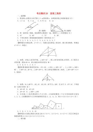 中考数学-第一轮-系统复习-夯实基础--基本图形一考点集训20-直角三角形试题