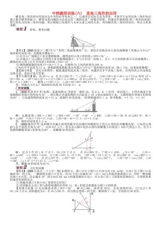 中考数学-第二编-中档题突破专项训练篇-中档题型训练六直角三角形的应用试题
