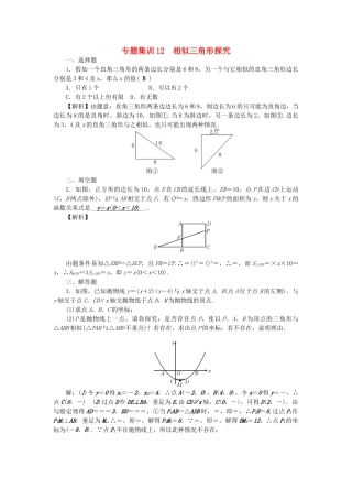 中考数学-第二轮-专题突破-能力提升-专题集训12-相似三角形探究试题