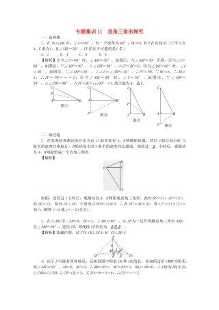 中考数学-第二轮-专题突破-能力提升-专题集训11-直角三角形探究试题