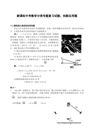 中考数学分类专题复习试题创新应用题