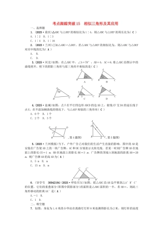 中考数学总复习--三角形-考点跟踪突破15-相似三角形及其应用试题