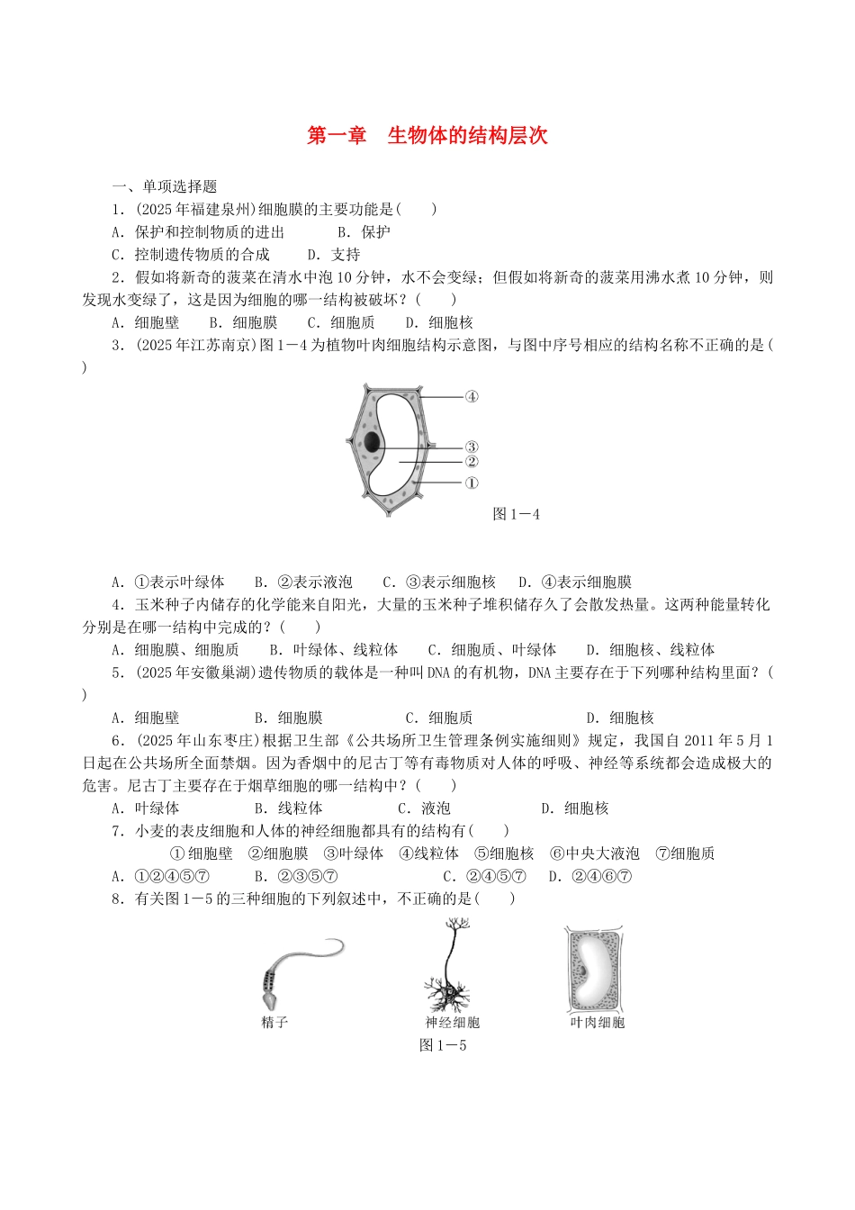 中考生物-备考训练-速提升--生物体的结构层次_第1页