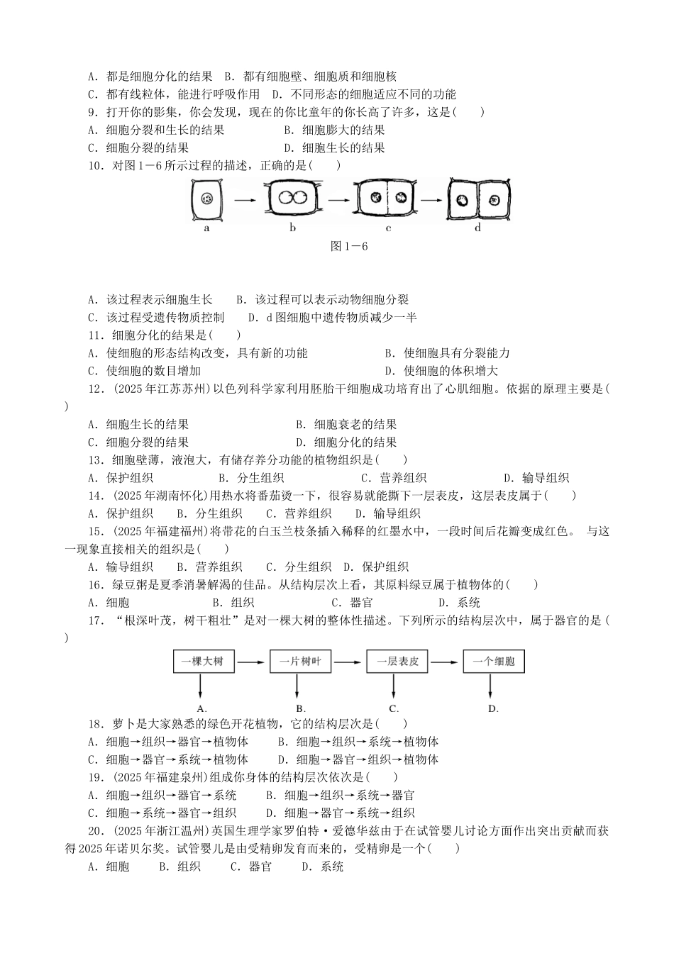 中考生物-备考训练-速提升--生物体的结构层次_第2页