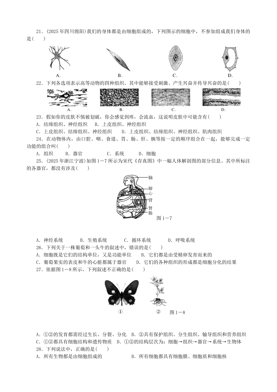 中考生物-备考训练-速提升--生物体的结构层次_第3页