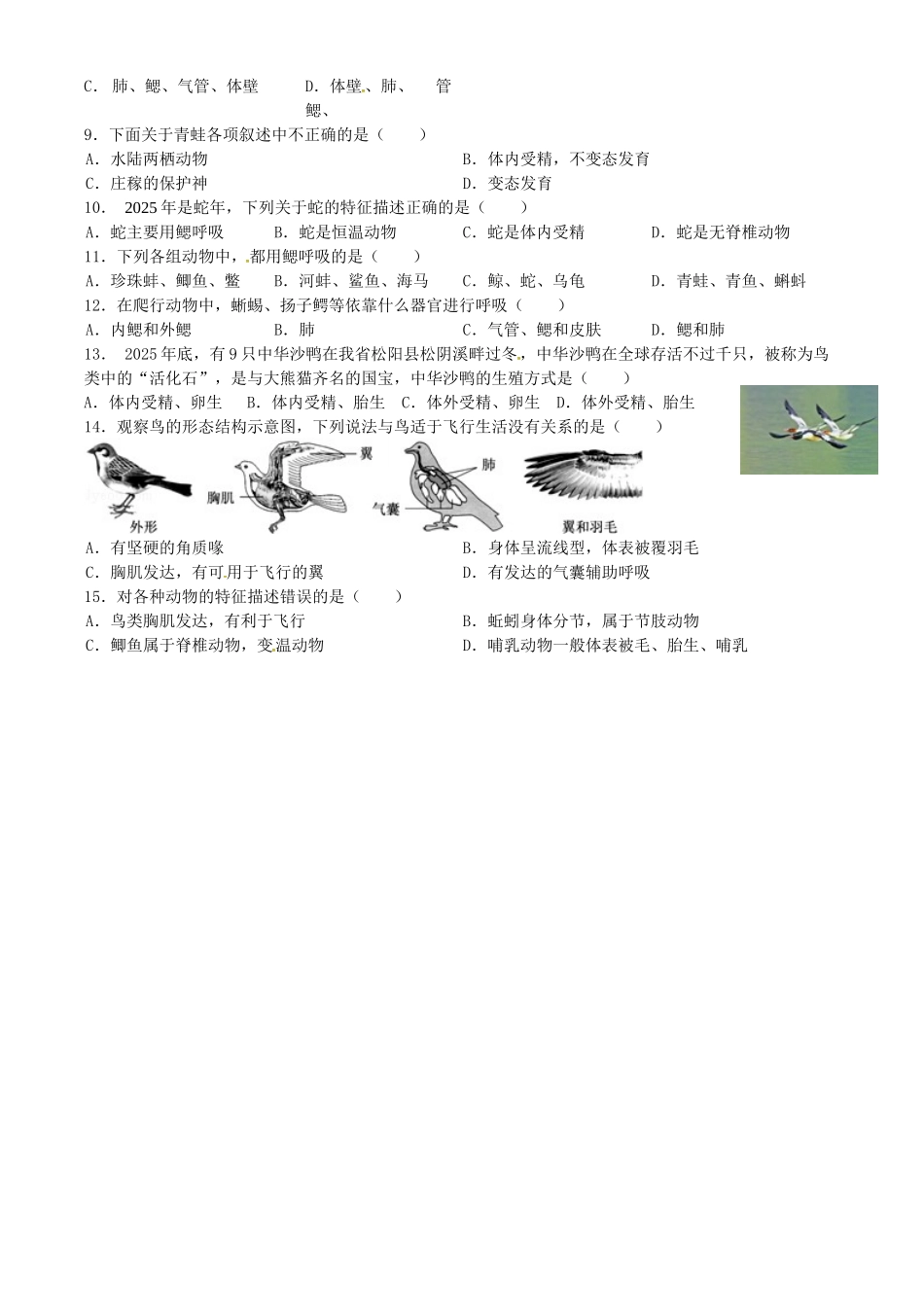 中考生物专题复习--生物圈中的动物学案无答案_第3页