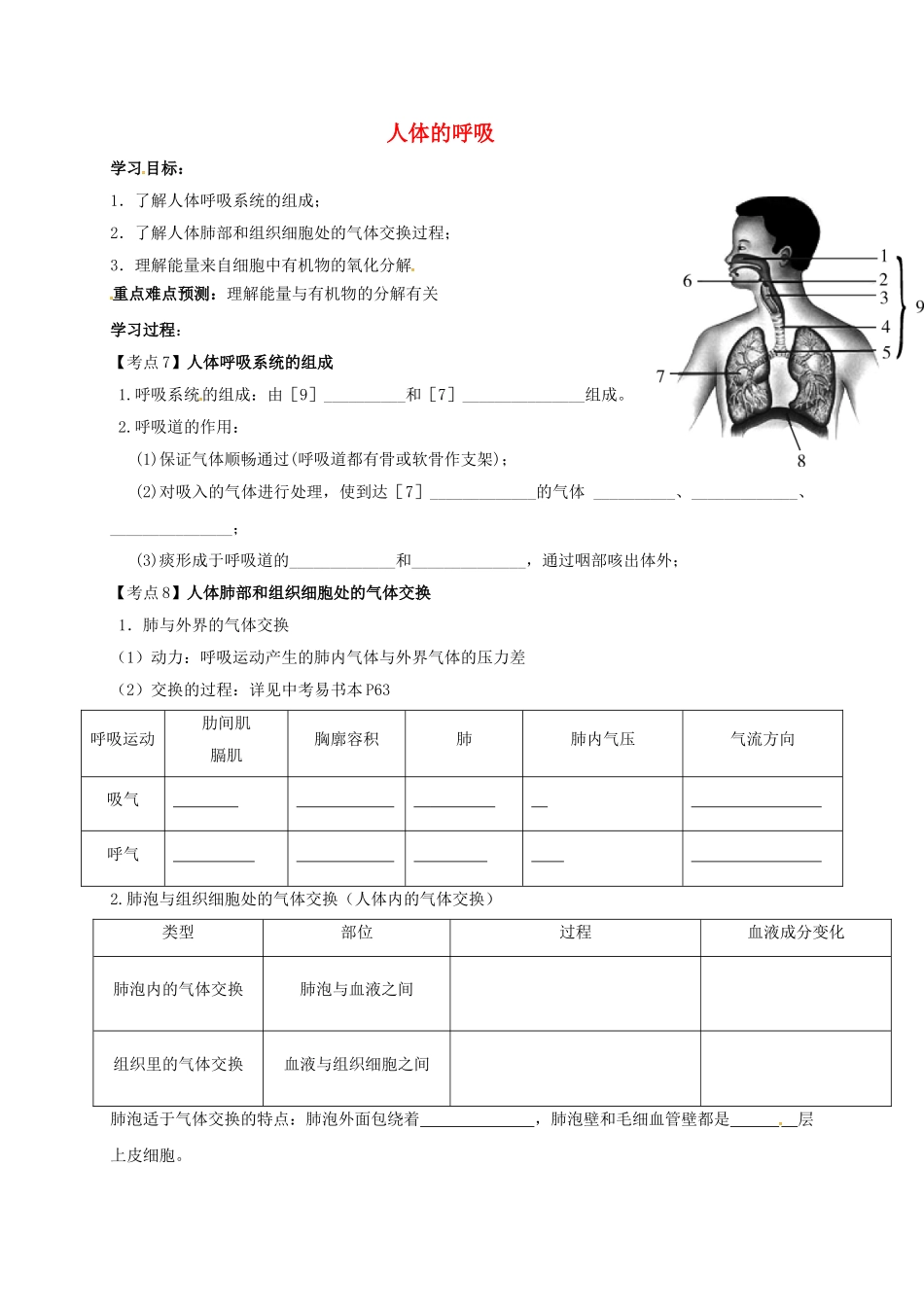 中考生物专题复习--人体的呼吸学案无答案_第1页