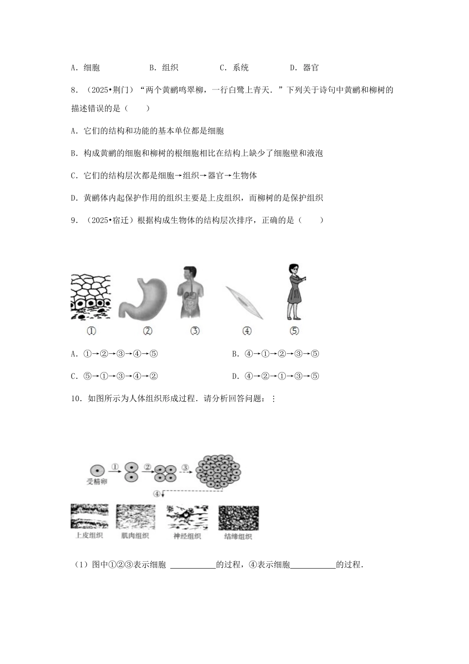 中考生物复习---多细胞生物体的结构层次特色训练_第2页