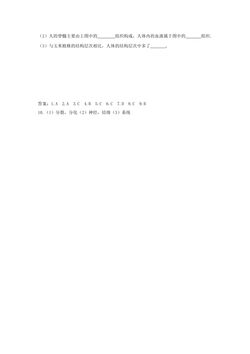 中考生物复习---多细胞生物体的结构层次特色训练_第3页