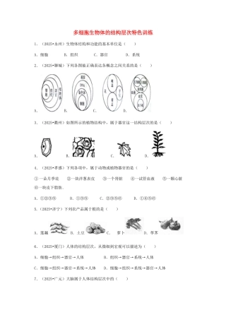 中考生物复习---多细胞生物体的结构层次特色训练