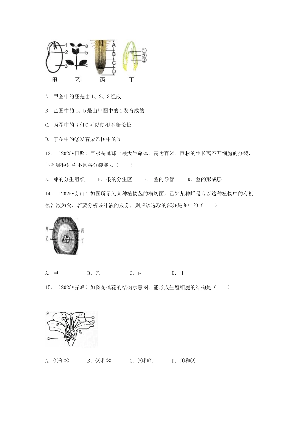 中考生物复习---绿色开花植物的一生特色训练_第3页