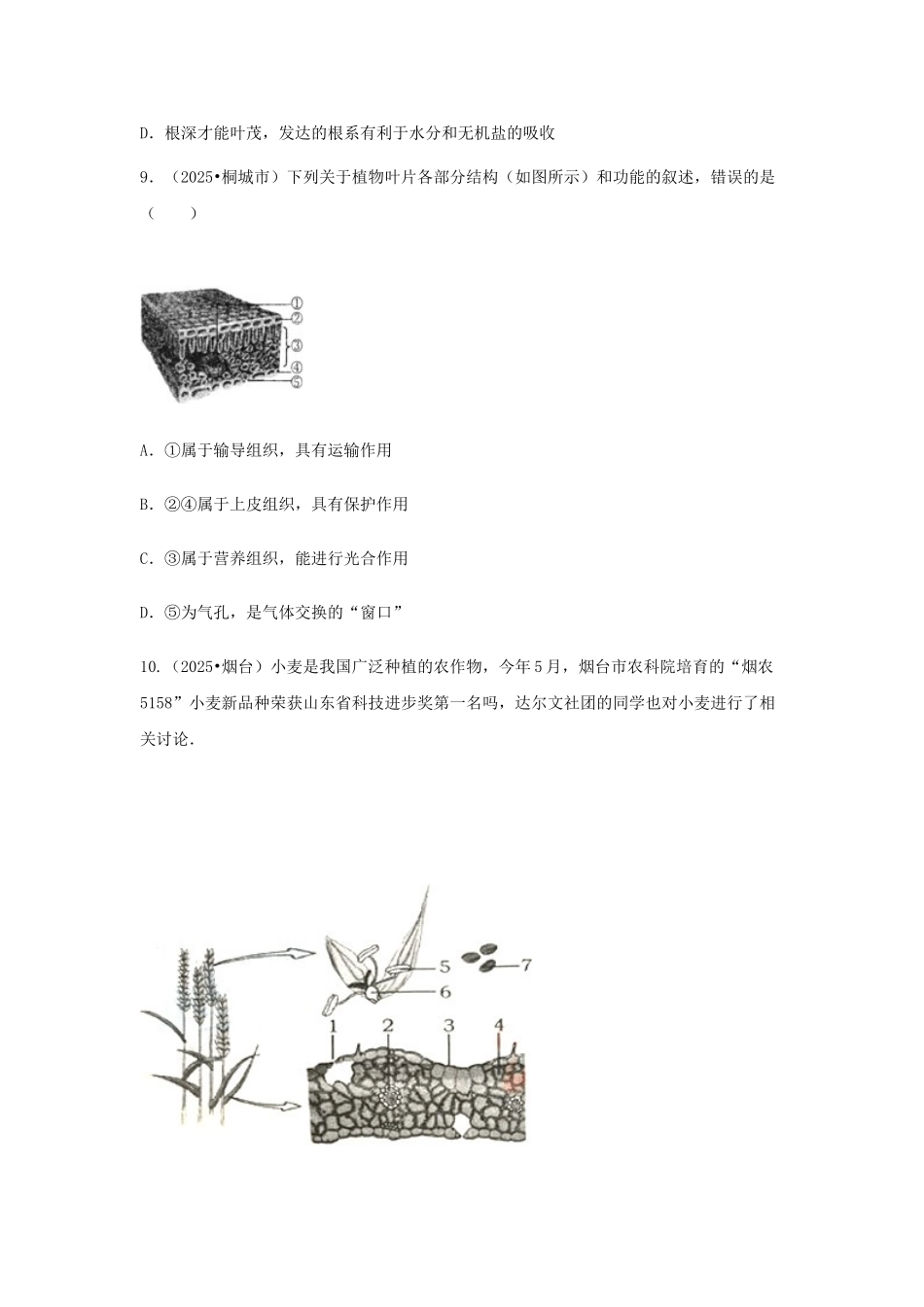 中考生物复习---绿色植物的生活需要水和无机盐特色训练_第3页